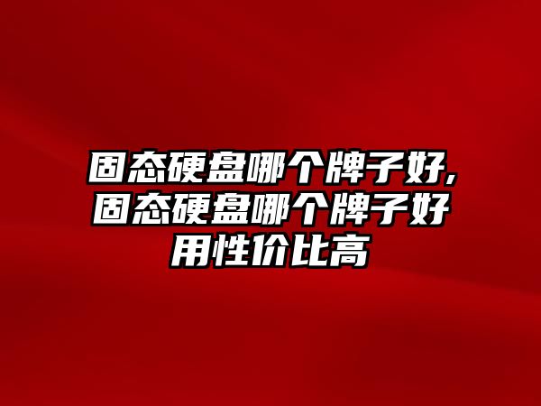 固態硬盤哪個牌子好,固態硬盤哪個牌子好用性價比高