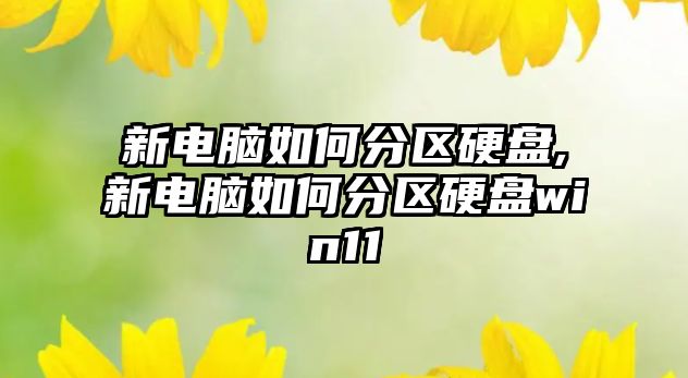 新電腦如何分區硬盤,新電腦如何分區硬盤win11