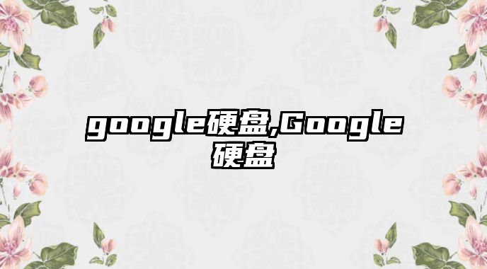 google硬盤(pán),Google硬盤(pán)