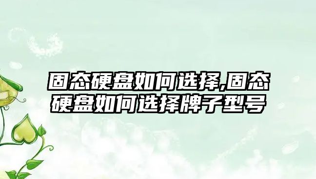 固態硬盤如何選擇,固態硬盤如何選擇牌子型號