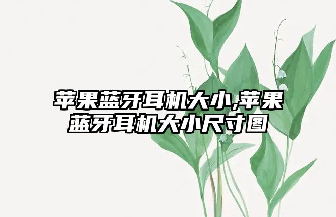 蘋果藍牙耳機大小,蘋果藍牙耳機大小尺寸圖