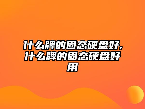 什么牌的固態(tài)硬盤(pán)好,什么牌的固態(tài)硬盤(pán)好用