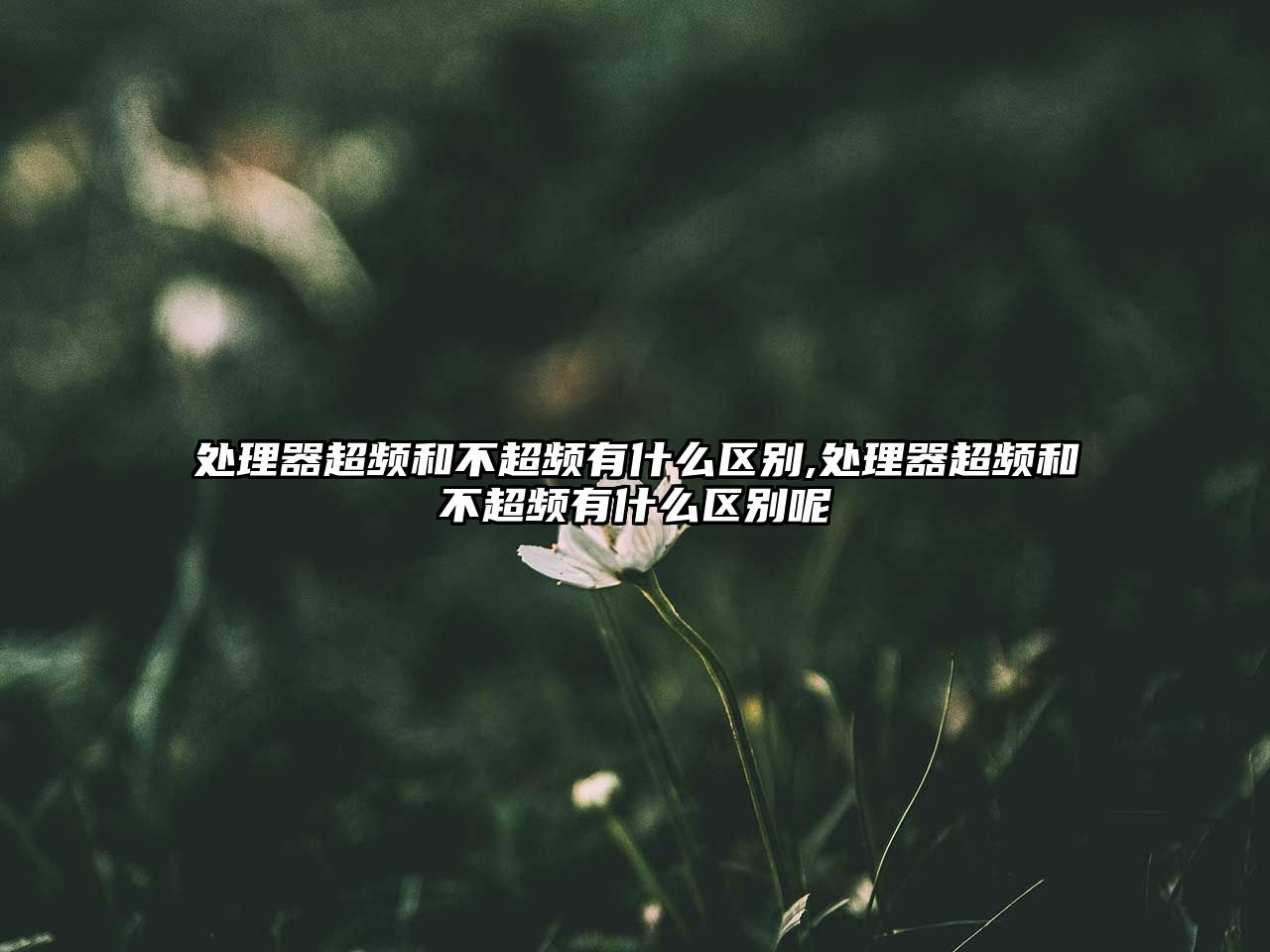 玉翠科技網