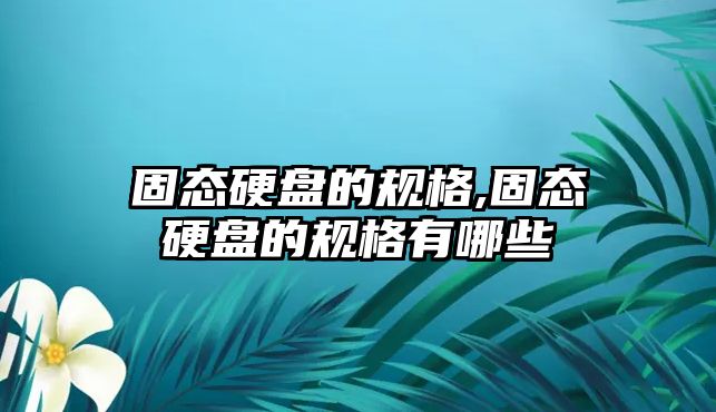 固態硬盤的規格,固態硬盤的規格有哪些