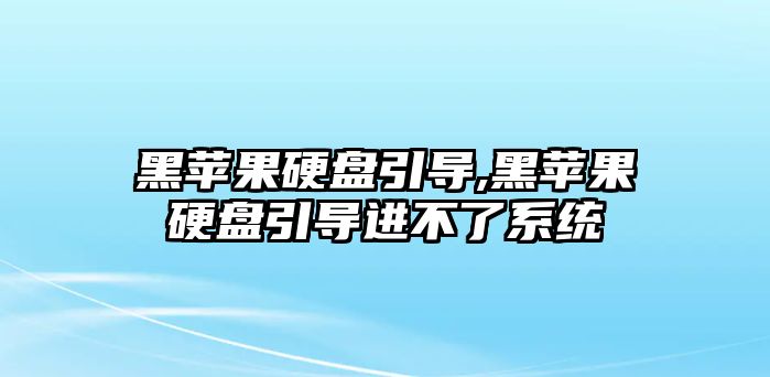 黑蘋果硬盤引導,黑蘋果硬盤引導進不了系統